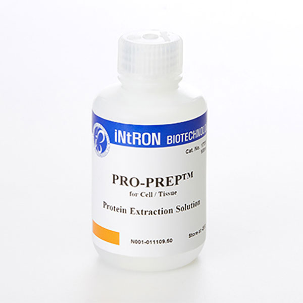PRO-PREP™ Protein Extraction Solution (Cell/Tissue)