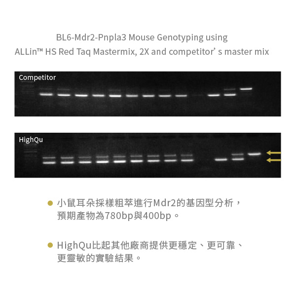 ALLin™ HS Red Taq Mastermix, 2X