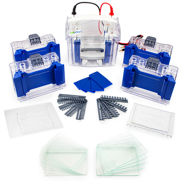 Gel Tank System 電泳槽系統