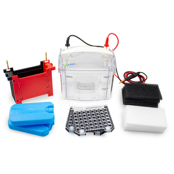 Transfer System 轉漬槽系統